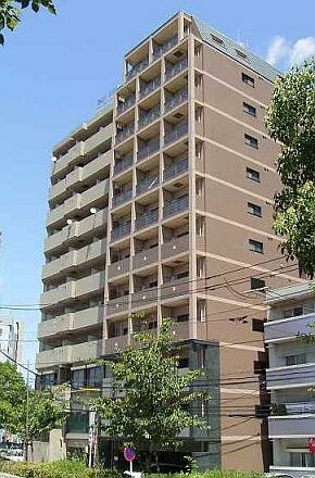 42875画像