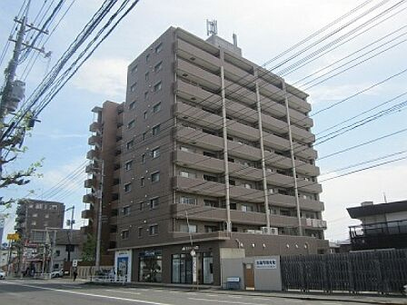 42881画像