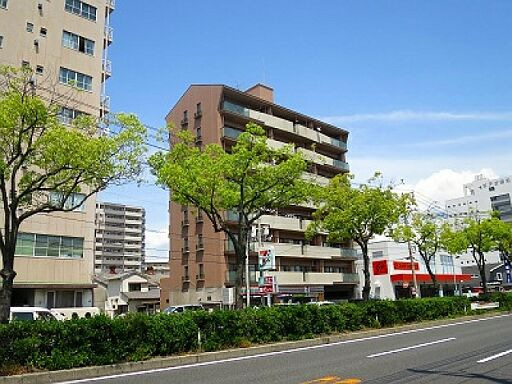 42906画像
