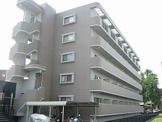 42977画像