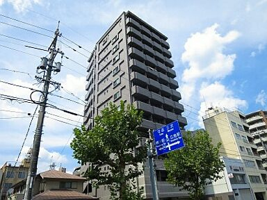 43088画像