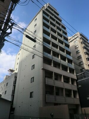 43169画像