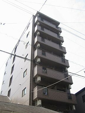 43171画像