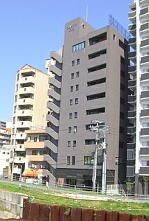 43184画像