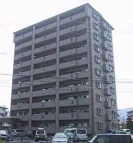 43185画像