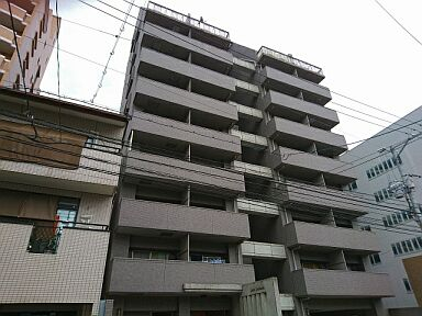 43391画像