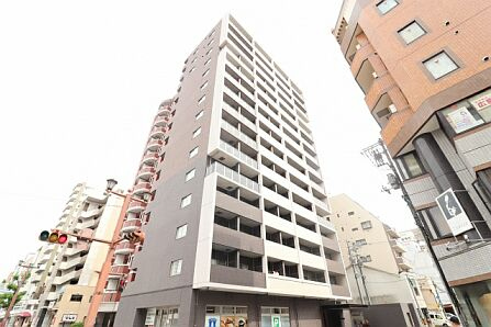 43530画像