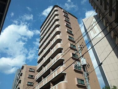 43542画像